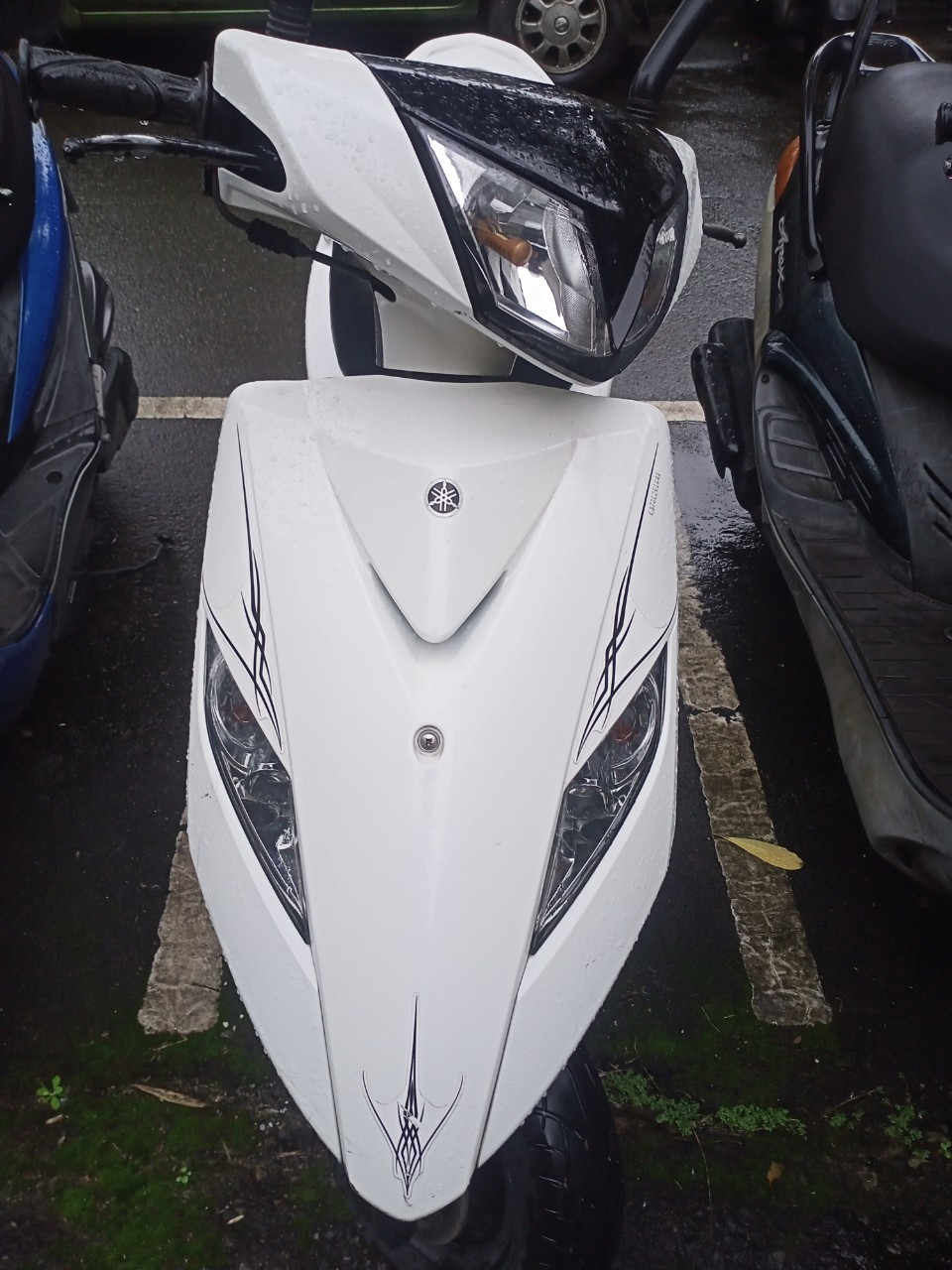 機車借款-590金泰當舖提供樹林機車借款,公營當舖,新北市當鋪,台北市當舖,24小時當舖,假日當舖,新北市機車借款,台北市汽車借款,三重機車借款,樹林機車借款,闆橋機車借款,土城機車典當借款,迴龍機車借款,桃園機車借款,新莊機車借款,鶯歌機車借款,龜山機車借款,三峽機車借款,八德機車借款,林口機車借款,興仁花園夜市機車借款,新莊後港機車借款,新北市機車當鋪,新北推薦當鋪,新北低利息當鋪,機車當鋪,機車當舖94